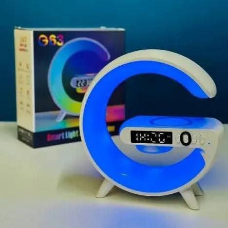 Domigard Wireless Speaker with Charging